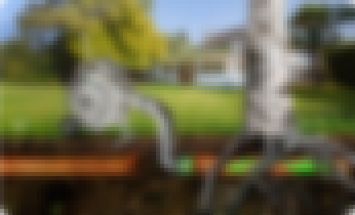 Frame 1707479346
